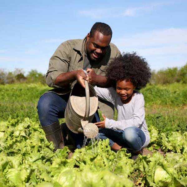 Baraka Agro Supplies