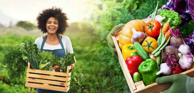 Mwangaza Fresh Farms