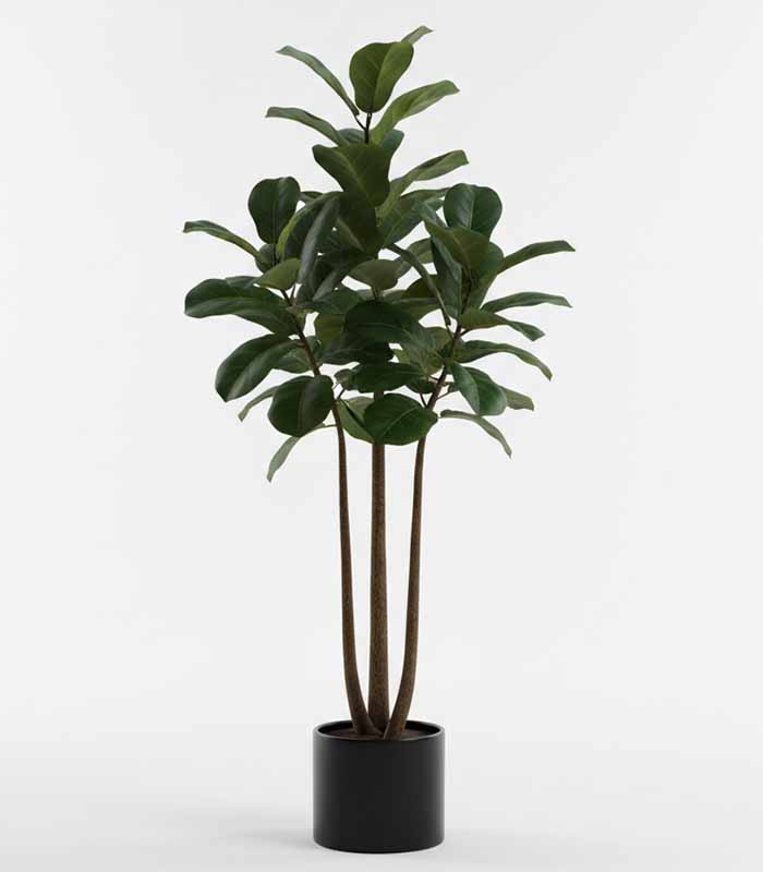 PataFasta, Artificial Plant - EverLush Faux Fiddle Leaf Tree (Indoor) 1