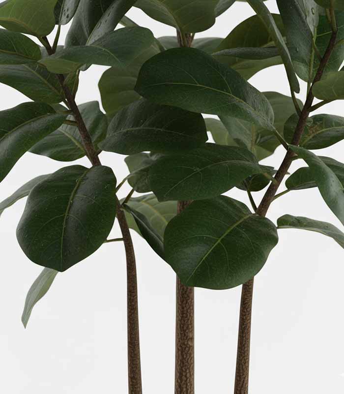 PataFasta, Artificial Plant - EverLush Faux Fiddle Leaf Tree (Indoor) 2