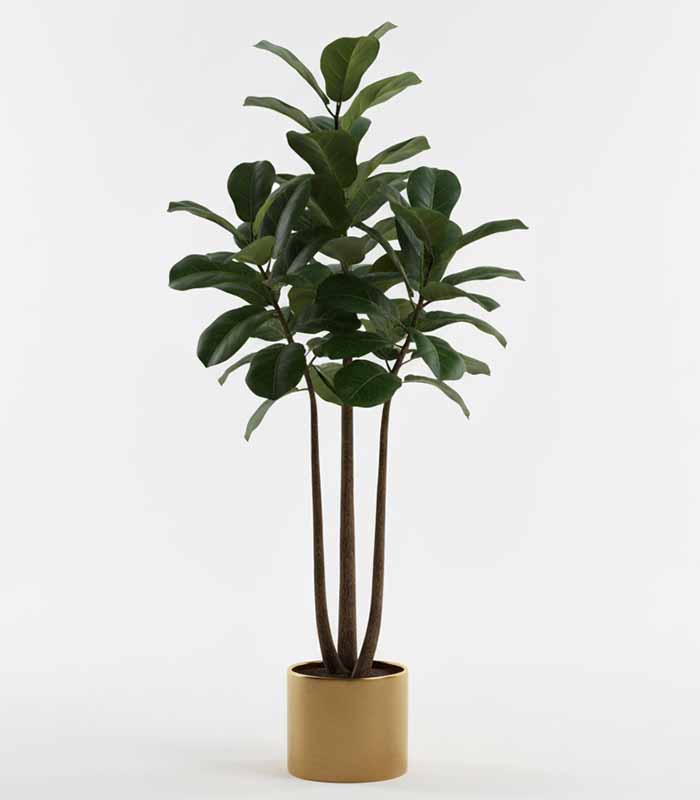 PataFasta, Artificial Plant - EverLush Faux Fiddle Leaf Tree (Indoor) 3