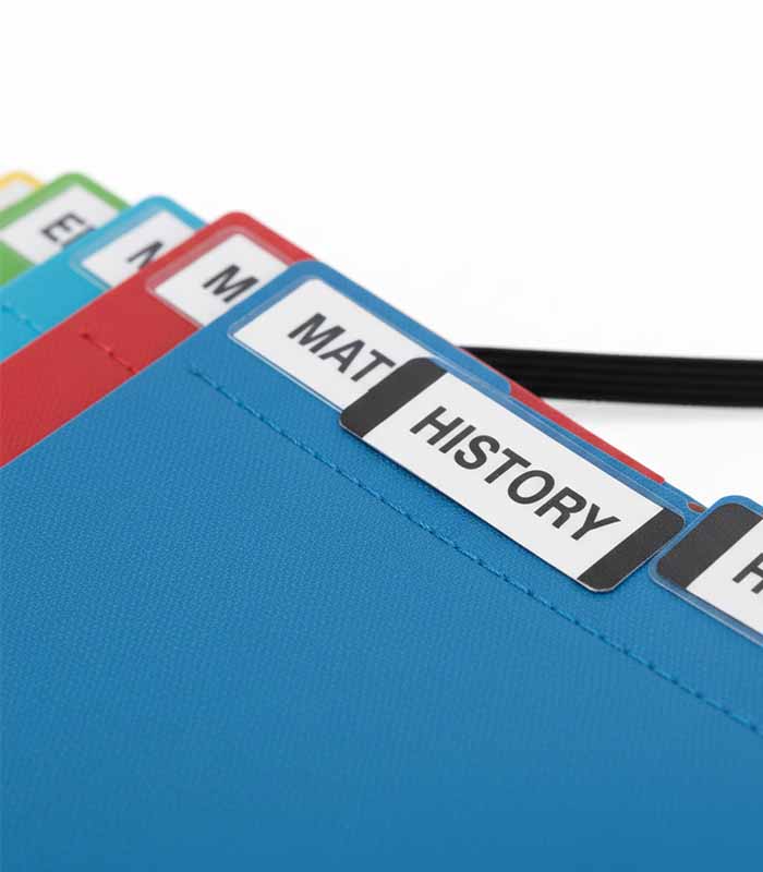 PataFasta, File Folder (Document Organizer) - “FlexTab School File Folder (Expandable)” 2