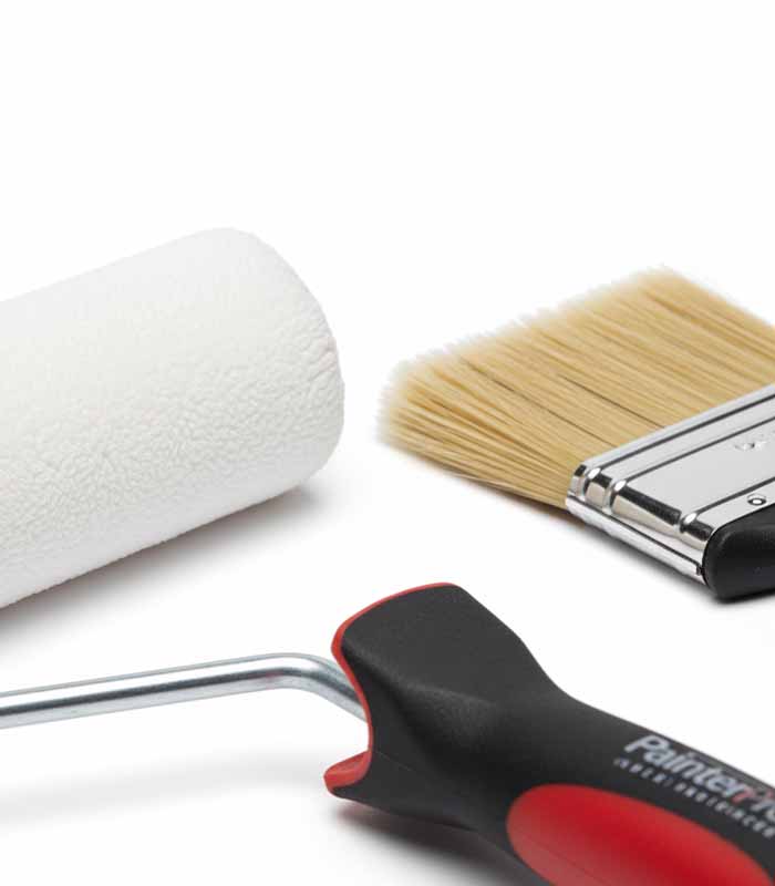 PataFasta, Painting Equipment - “PainterPro Roller & Brush Set” 1 (1)
