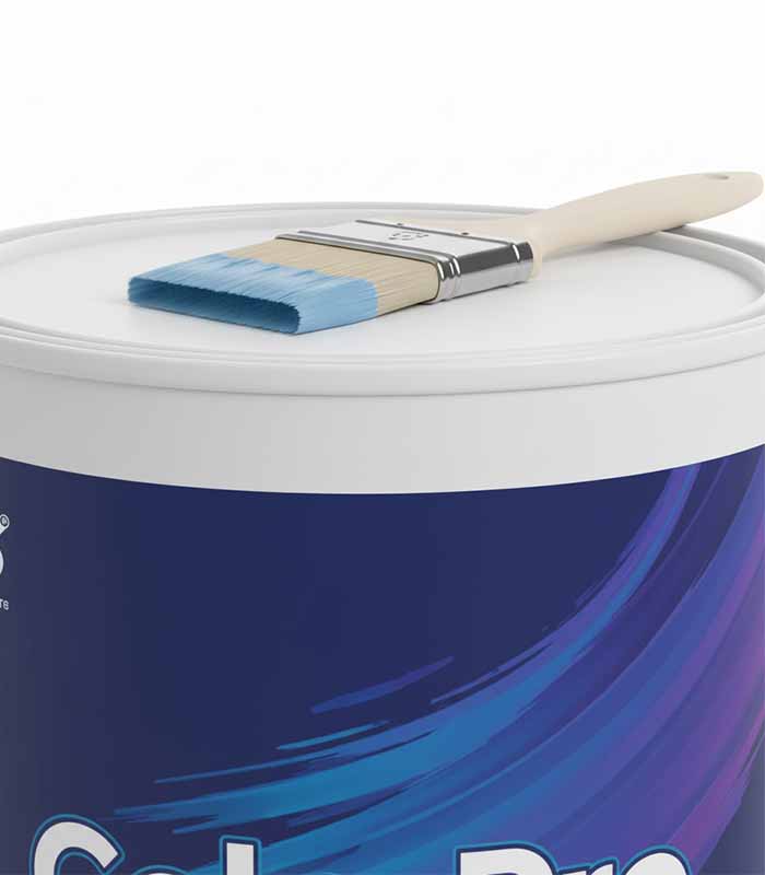 PataFasta, Paints - “ColorPro Premium Emulsion Paint 5L” 1
